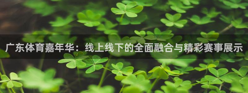 广东体育嘉年华：线上线下的全面融合与精彩赛事展示