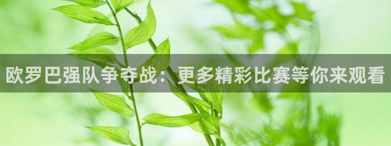 欧罗巴强队争夺战：更多精彩比赛等你来观看