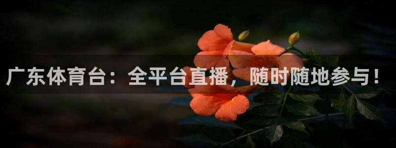 广东体育台：全平台直播，随时随地参与！