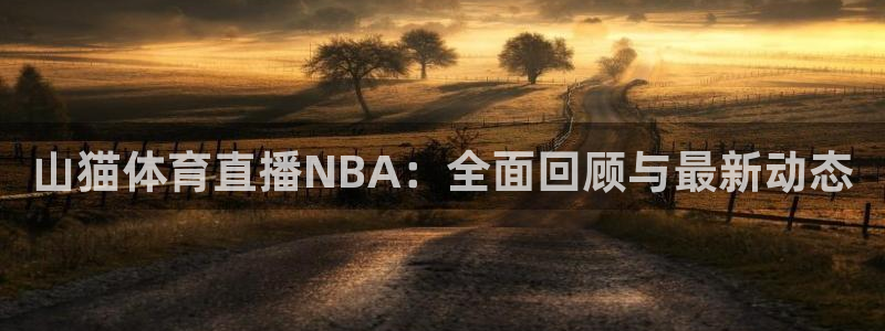 山猫体育直播NBA：全面回顾与最新动态
