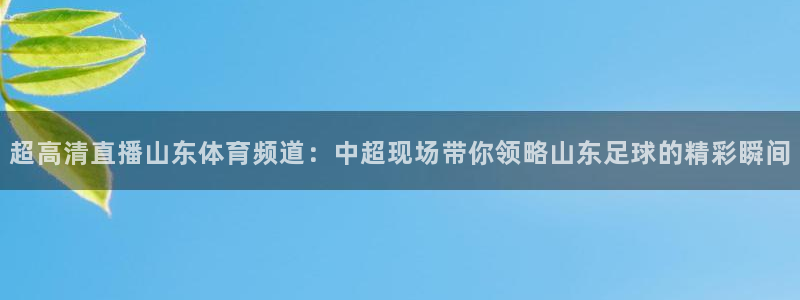 超高清直播山东体育频道：中超现场带你领略山东足球的精彩瞬间