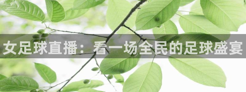 女足球直播：看一场全民的足球盛宴