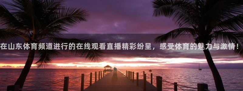 在山东体育频道进行的在线观看直播精彩纷呈，感受体育的魅力与激情！