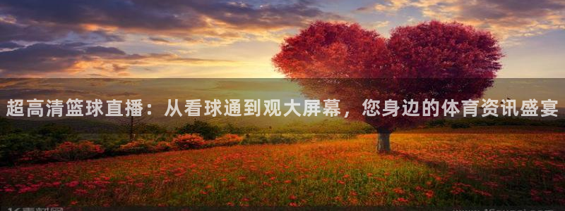 超高清篮球直播：从看球通到观大屏幕，您身边的体育资讯盛宴