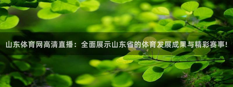 2022世界杯足球积分榜：山东体育网高清直播：全面展示山东省的体育发展成果与精彩赛事!