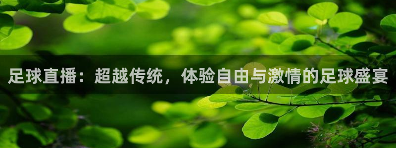 世界杯预选赛2022年赛程：足球直播：超越传统，体验自由与激情的足球盛宴