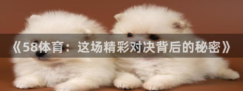 2018世界杯赛程时间表：《58体育：这场精彩对决背后的秘密》