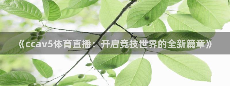 2018世界杯决赛回放高清：《ccav5体育直播：开启竞技世界的全新篇章》