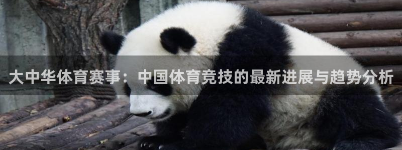 世界杯女篮比赛录像：大中华体育赛事：中国体育竞技的最新进展与趋势分析