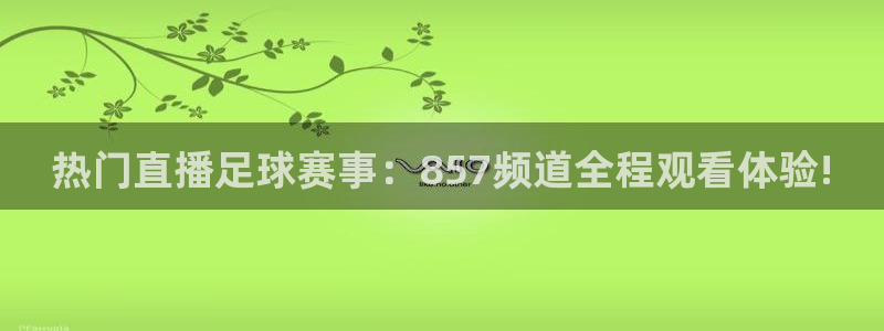 世界杯时间表时间历届：热门直播足球赛事：857频道全程观看体验!